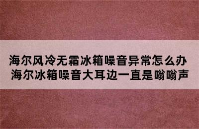 海尔风冷无霜冰箱噪音异常怎么办 海尔冰箱噪音大耳边一直是嗡嗡声